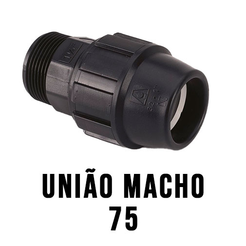 União Macho - Image 3